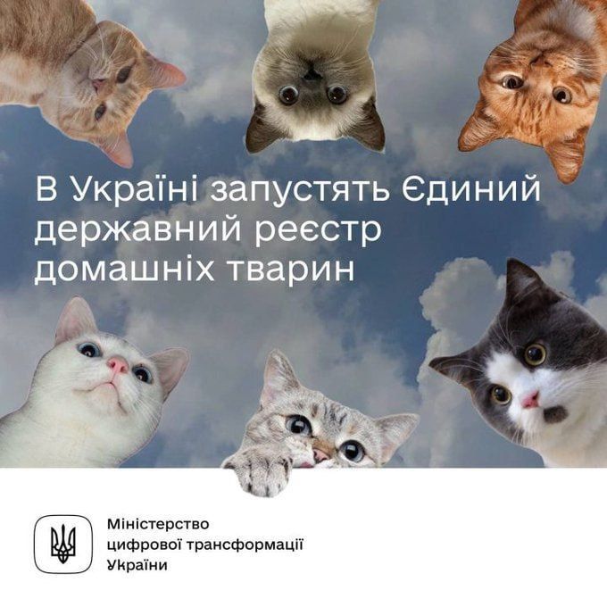 ���i�i���i� �����������. #��������������������� #�������� #���