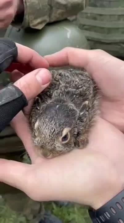 "������ ����� �������! �� �����" ����� ������