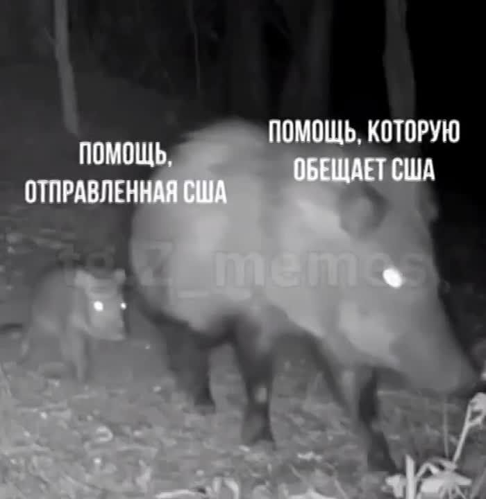 � �� �� ����. #��������������������� #�������� #���