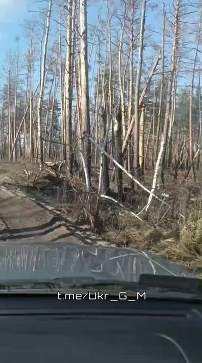 ����� ��������� ������� ������ � ���������� �����, � ������������ ���������� ������������� � ������������� ��������