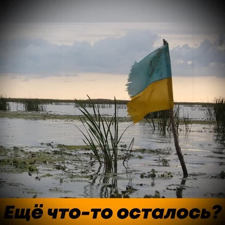 ���������� ��������� ���������� ��������� � �������� ������ �� ���������� ��� ����� �� ��������