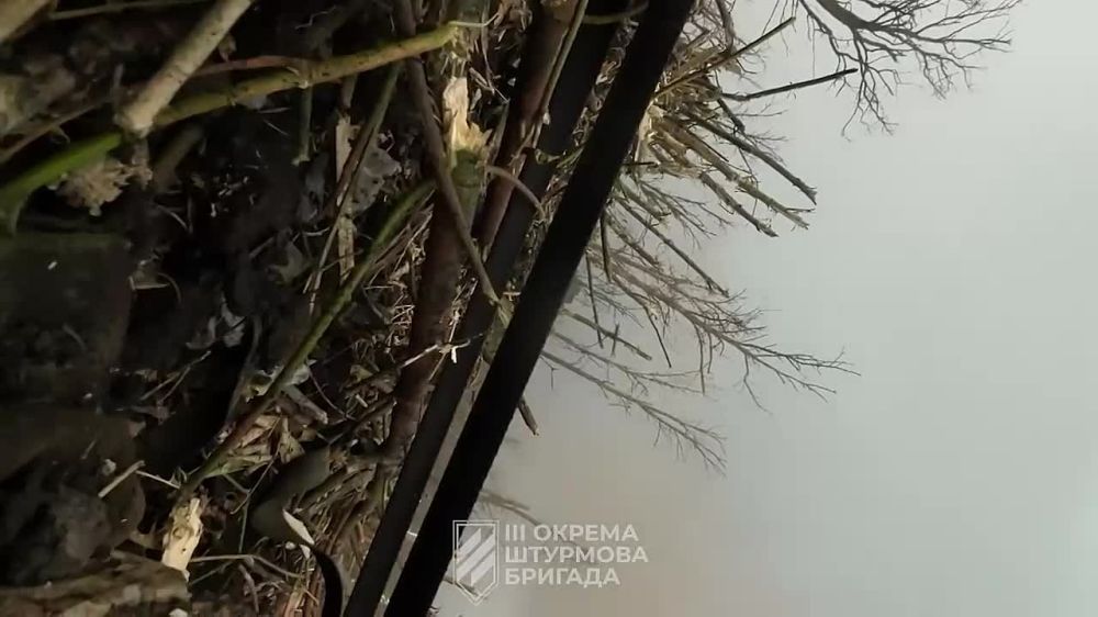 ���� ��������: ��� ��������������� � ���� �����