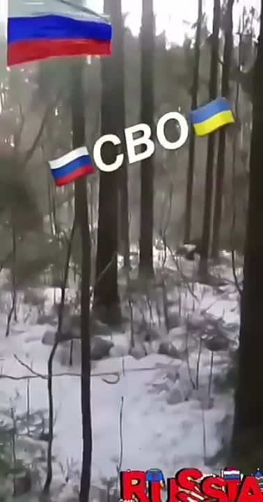 ���������� ������� ���������� �������, ������� ������ ���� ������� ����� ������
