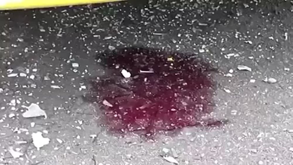 ��� �� ������� ����� ������ ���� ��������� �� ������� ���������� �� �������