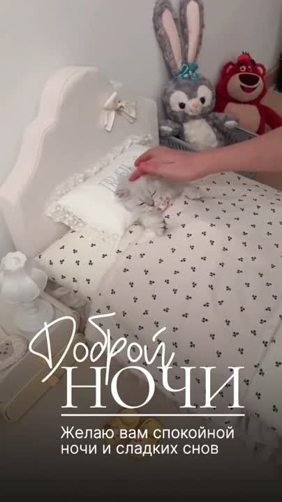 �������� ������ � ����� �������� ����������