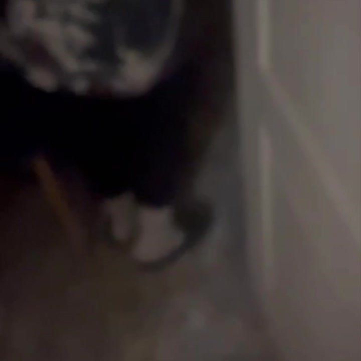 � ��������������� ���������� ����� ������ �������