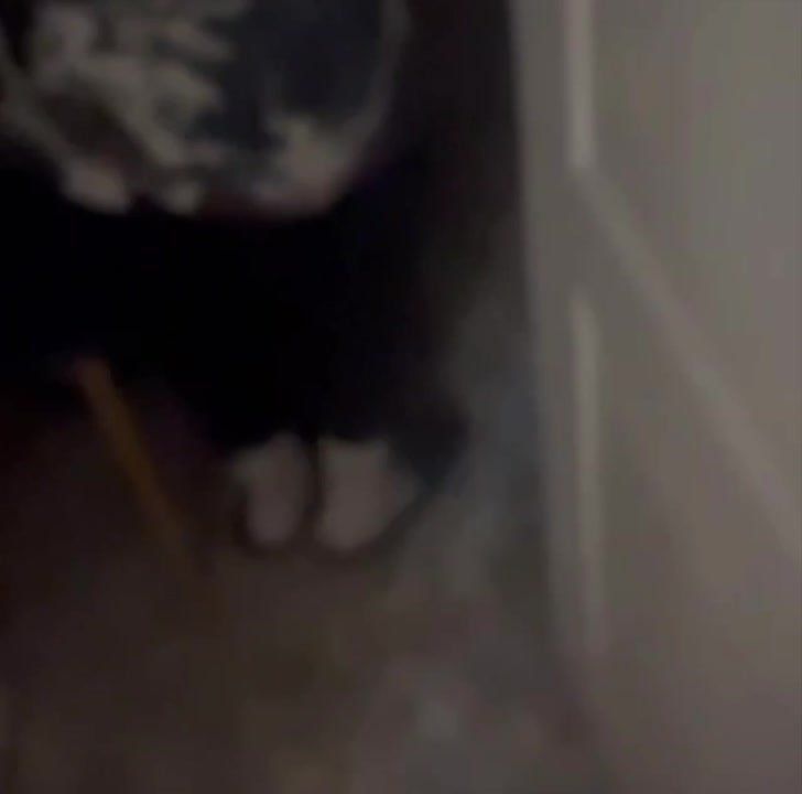 ������� �������: ���������� � ����� ������ ������� � ���������������