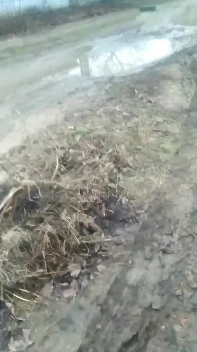 ����� ���������. ���������� ������������ ������ ������ �������� �� ��������� ������ �� ����� ���������: