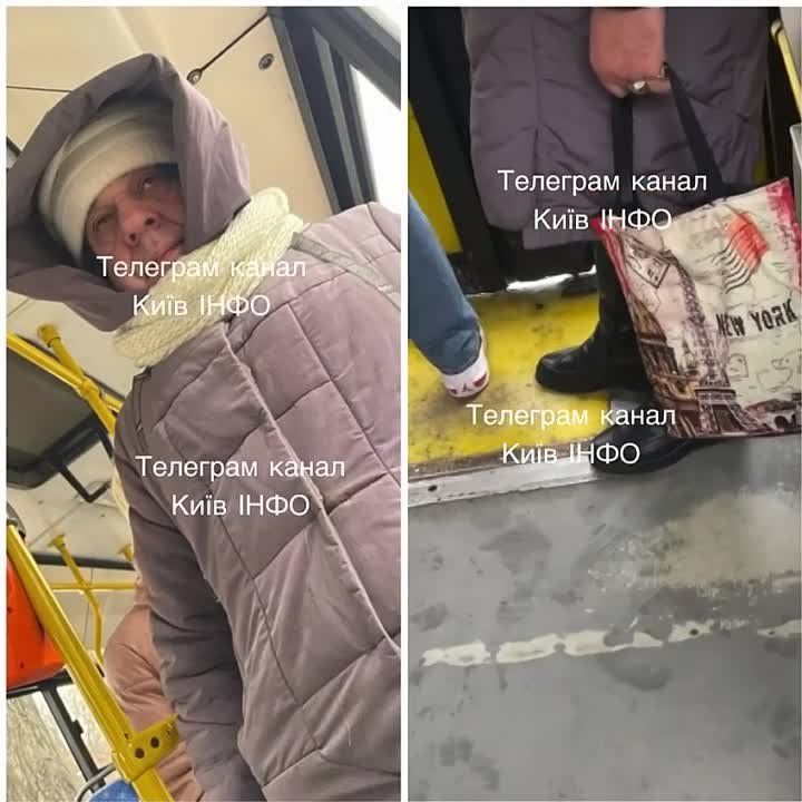 ����� ��������� �� �����������