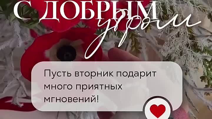 ������ ����, ������!. �������� ��� � �������������� ���!
