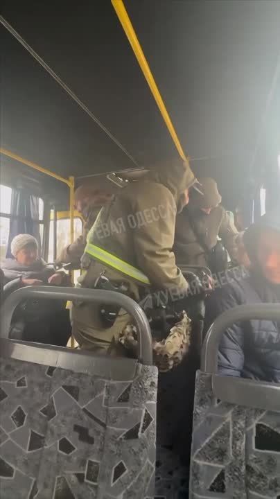 ��� ������ - ������! ������ � ���� ��������