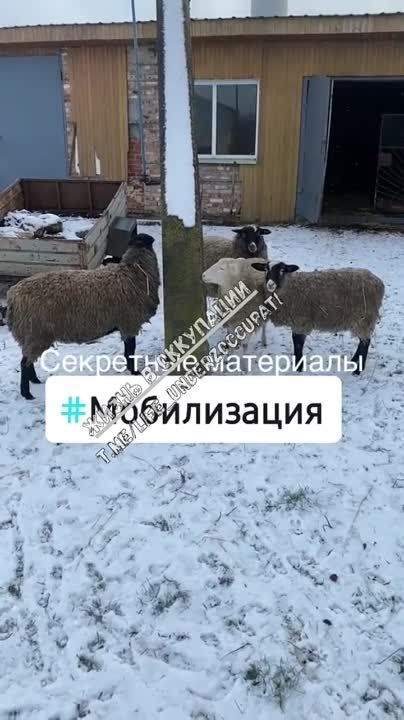 �������� ���������� ���������� ������ �������: