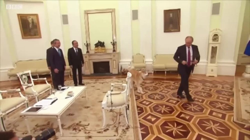 ���������� ���������� ����� ������ �������� � ��������� �� �������