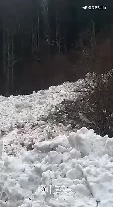 ������� ����� � ����� ��� ������� ������� �� �������