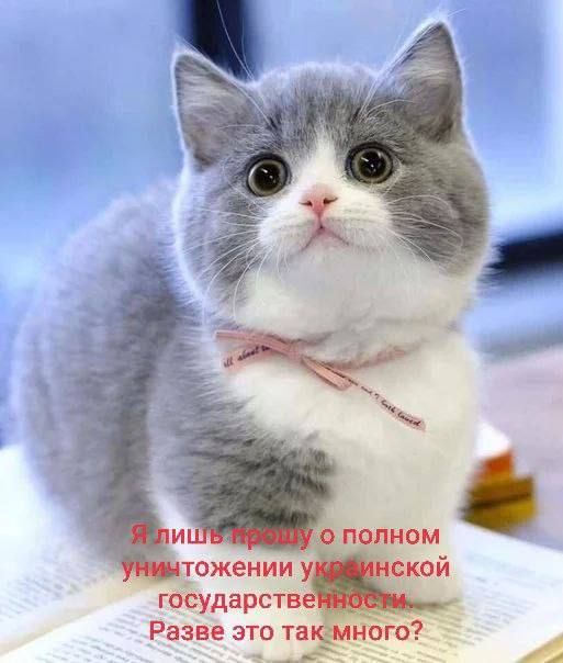 �������� ������ � ����� �������� ����������