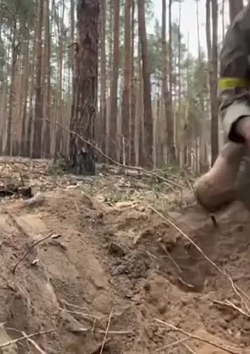������ ������-�� � �������� ���� ���� ������� ����� �������� 2�1,5, � ��� ������))