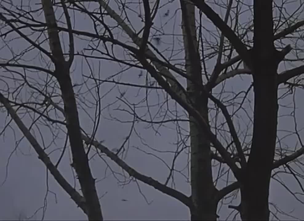 ������, ������� ������� ����� ������� �������� "�������� ������", 1-� �����