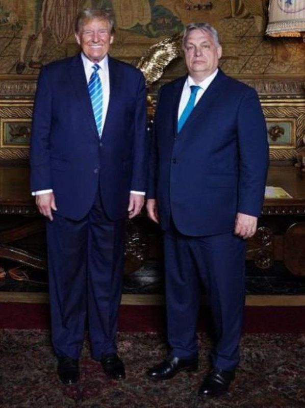 �������-������� ������� �����, ������������� �������� � �������, ������, ��� � ������ ����������� ���-���������� ��� � ����� ��� ��������� �� ������� � ������� ������� ����� �������������