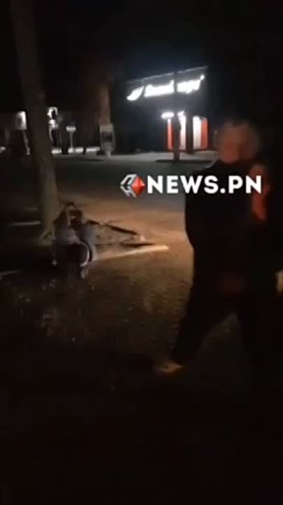 �������� �����: ������������ �������� ���������� ����������