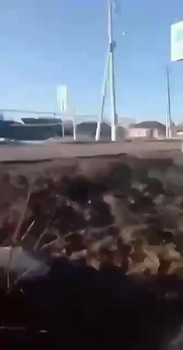 � ������������ � ������ ���� �������� ��������