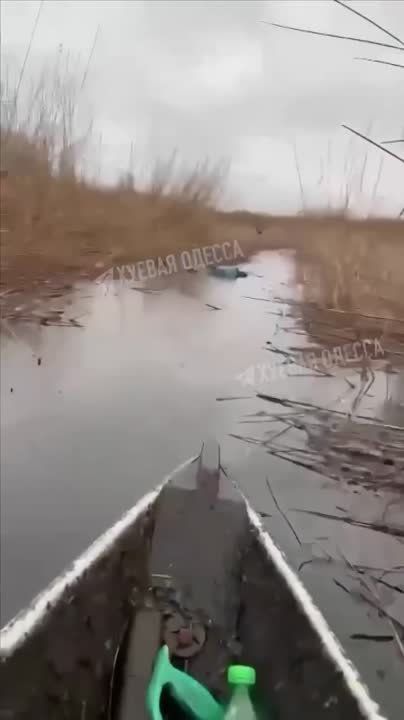 ����� ������ ������. �� ������� � ��������� ������������ ���������� ����������� � ������� 22-������� ��������