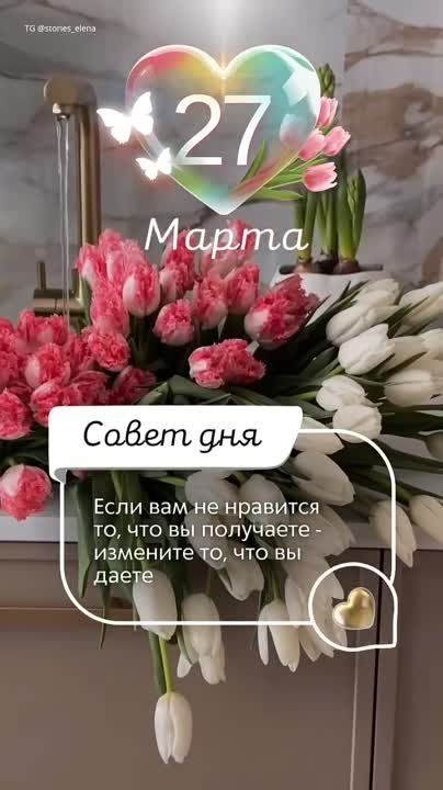 ������ ����, ������!. ��������� ����������� � �������������� ��� ���!