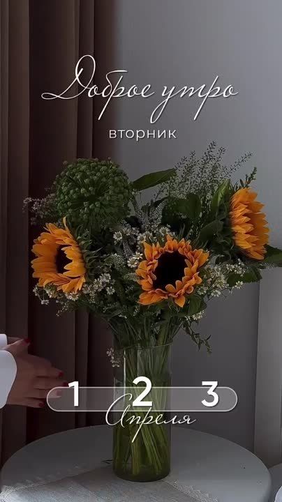 ������ ����, ������!. ��������� ����������� � �������������� ��� ���!