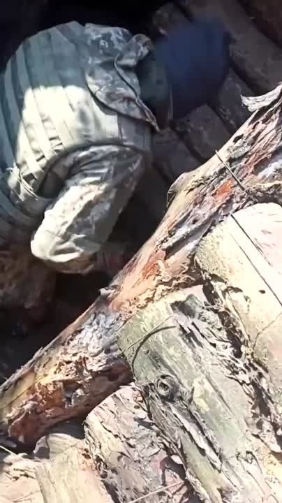 ����� � ���� ���������, ������� ��� ������� �������� ����� ��������� �������� ������� �� �����, ��� ����� ���������� � ����