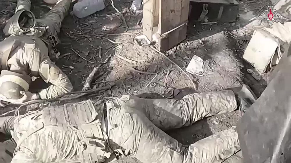 ����� ������ ����������� 25-� ���� ��� ����������� ������� � ���� ������ ����������� ����� ������ �� �� � ������ ����������� ������ �������