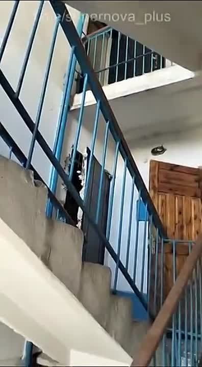 � ��� ����� ��� ��������� ������������, ������� ����� � �����, ����������� ��� � �������� �� ����������� � �������� � ��������� �����������