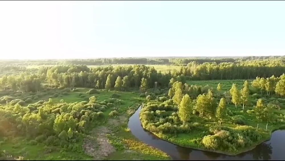 �������� ����� ����� "��������" ���������� ������ !