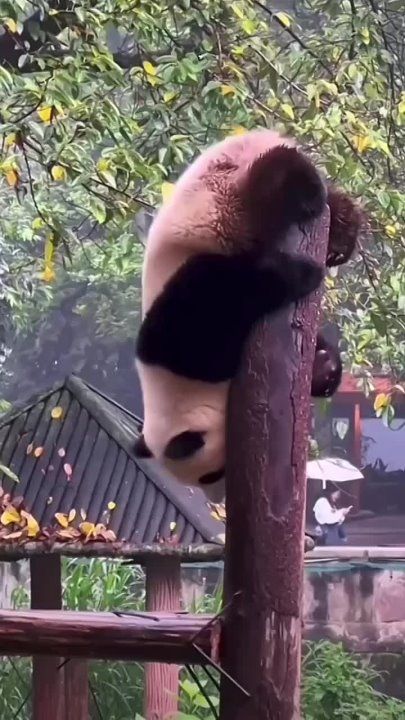 ������ ����, ������!. ��������� ����������� � �������������� ��� ���!