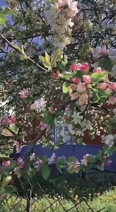 ������ ����, ������!. ��������� ����������� � �������������� ��� ���!