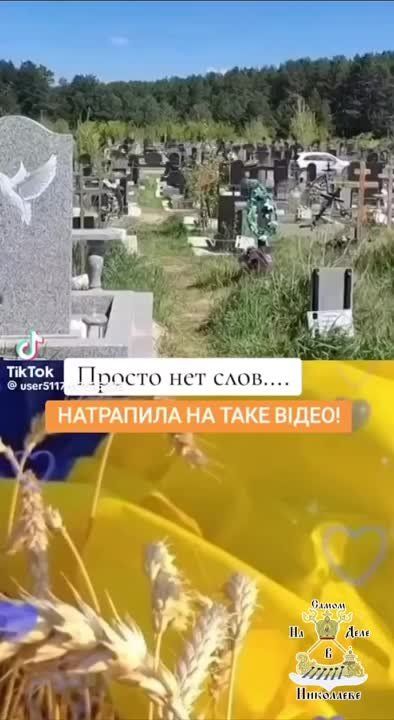 "���� ���� - ���� ����"