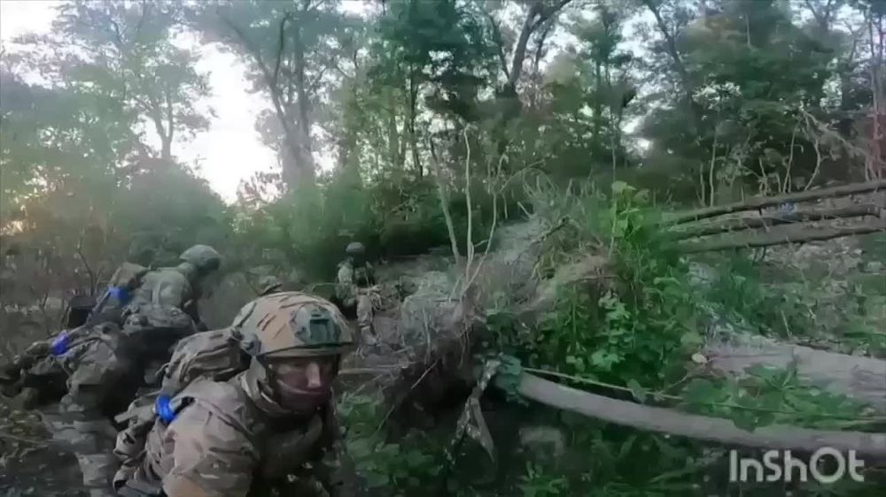 "����� ����� ������ - ������ ���� ��� ���"