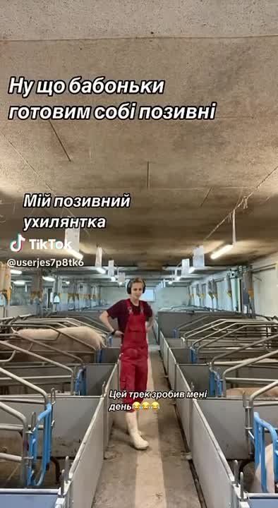 �������� ������ ���������� ����� "����������"
