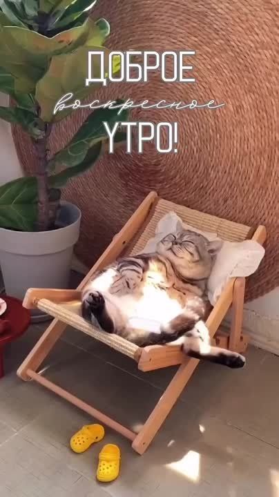 ������ ����, ������!. ��������� ����������� � �������������� ��� ���!