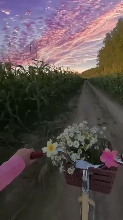 ������ ����, ������!. ��������� ����������� � �������������� ��� ���!