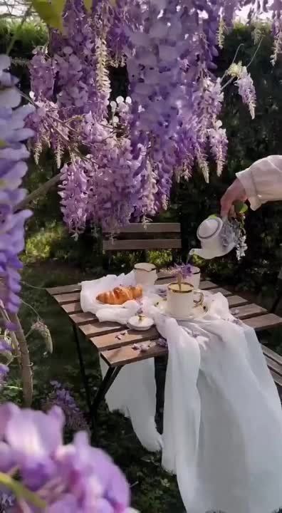 ������ ����, ������!. ��������� ����������� � �������������� ��� ���!