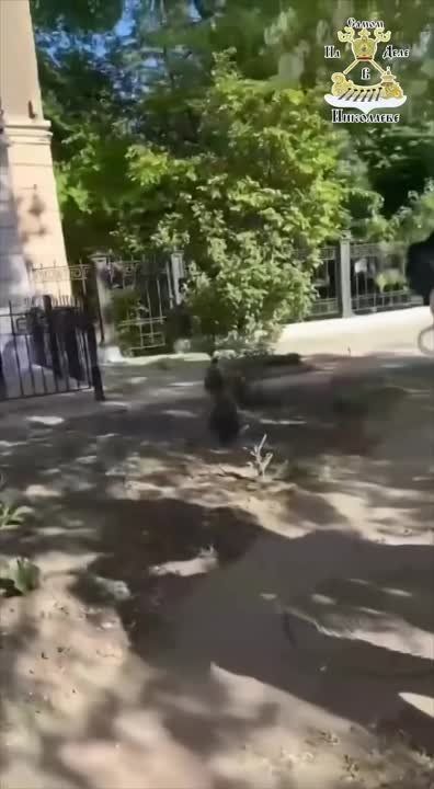 ������� ������������ � ����� �� ���������, ��� ���