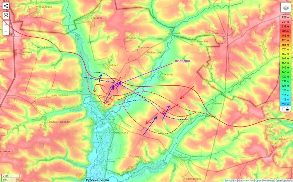 ���� ��������: ����������� �����������: ��������, ��������