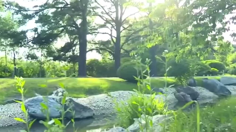 ��������� � ���, ��� ����� ����������� ����� � ����, ������������, � �� ����� ��� �� ����� ������ ������� �� ���� ��������