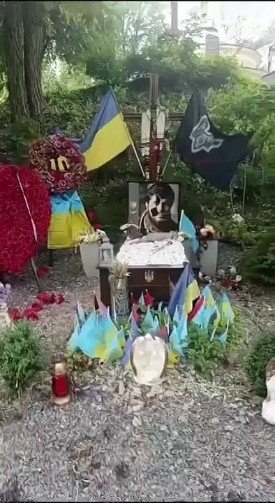 � ��� ��� ����� �� �����������
