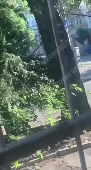 ��� ������, ����!. �������� �������� ������� ����� �������� ����� �������� �������� �� ����������, �� ������� ��� �� ����� � "��������" ���������, ���� ���� �� ����������