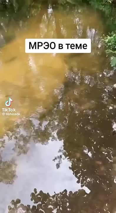 ���������� ������������ �� ������� ���������� ��� ���������