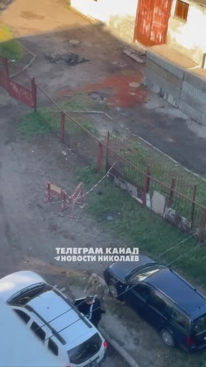 ����������� �� ��� ������� �������: ������ ����� ��������� �� ����� ������� �����