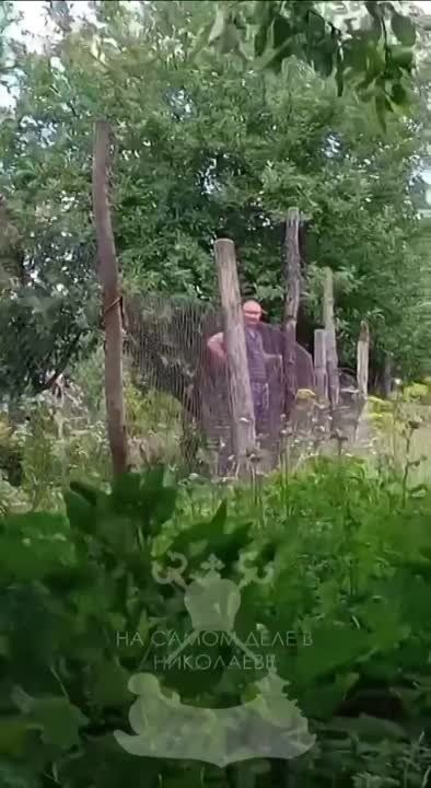 ����������� ������� ��� � ������������ �������