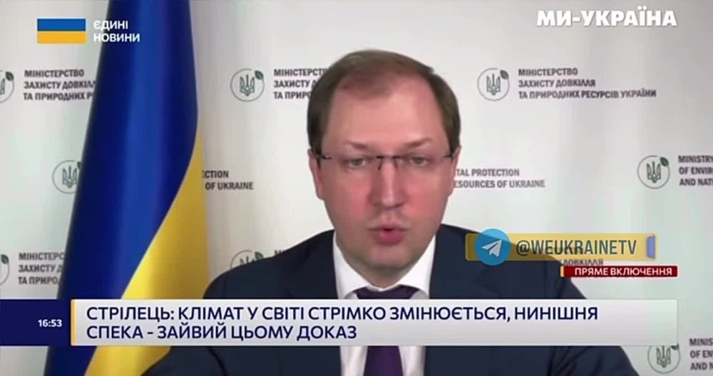 � ������������, ��������� � �����-����������� �������� ������������� ���� ��������� � ����