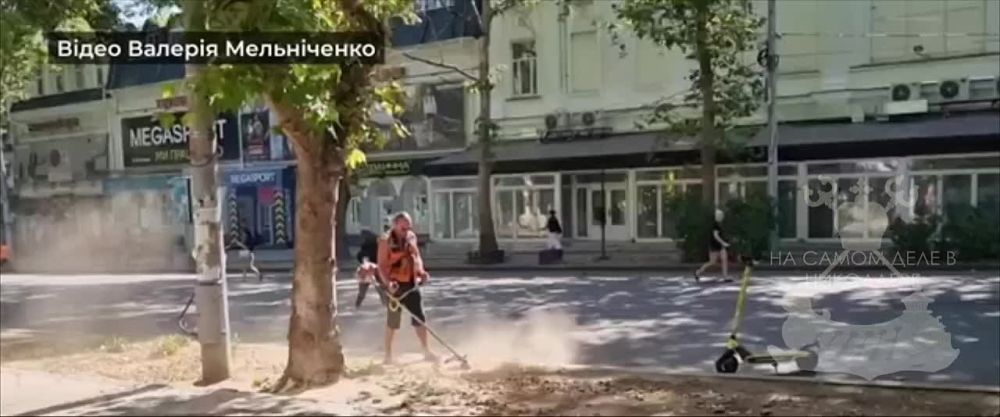 ������������ ������ � ��������� � 40-��������� ���� "������" ���� �� ���������