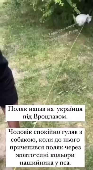"�������� ���������� - ������� �����"